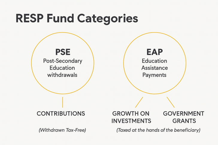 RESP_Fund_Categories.png
